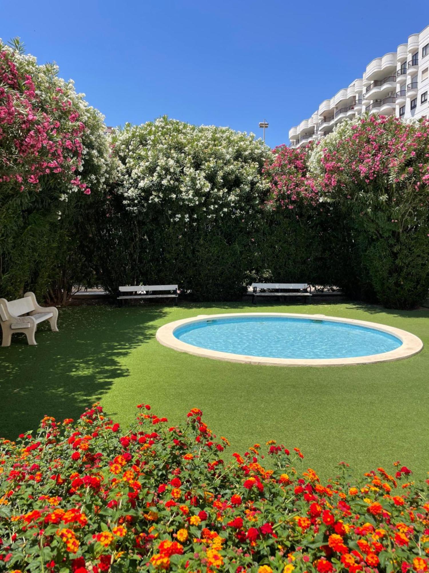 Gandia Boutique Stays - Presidente - Apartamento Premium En Primera Linea De Playa Eksteriør billede
